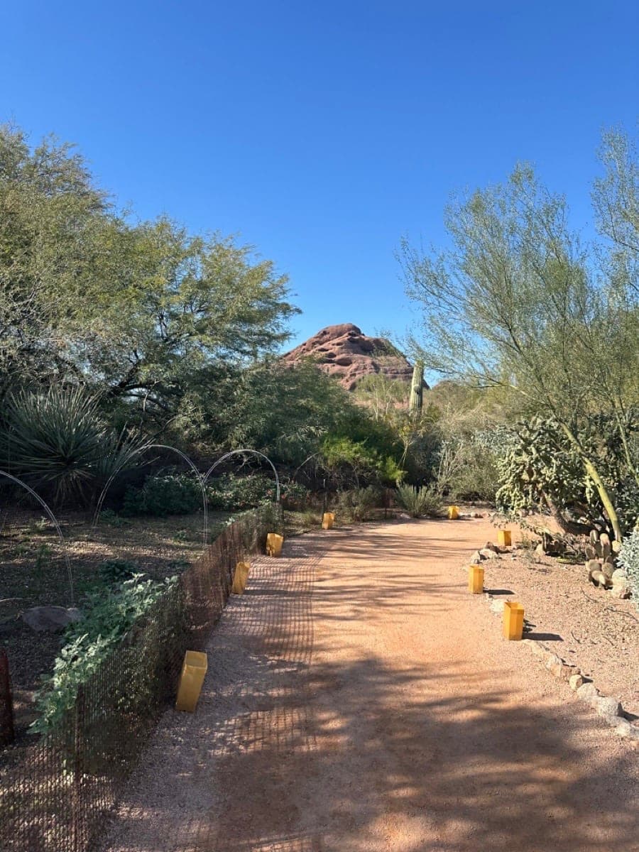 Desert garden path at Hole in the Rock in Papago Park, Arizona