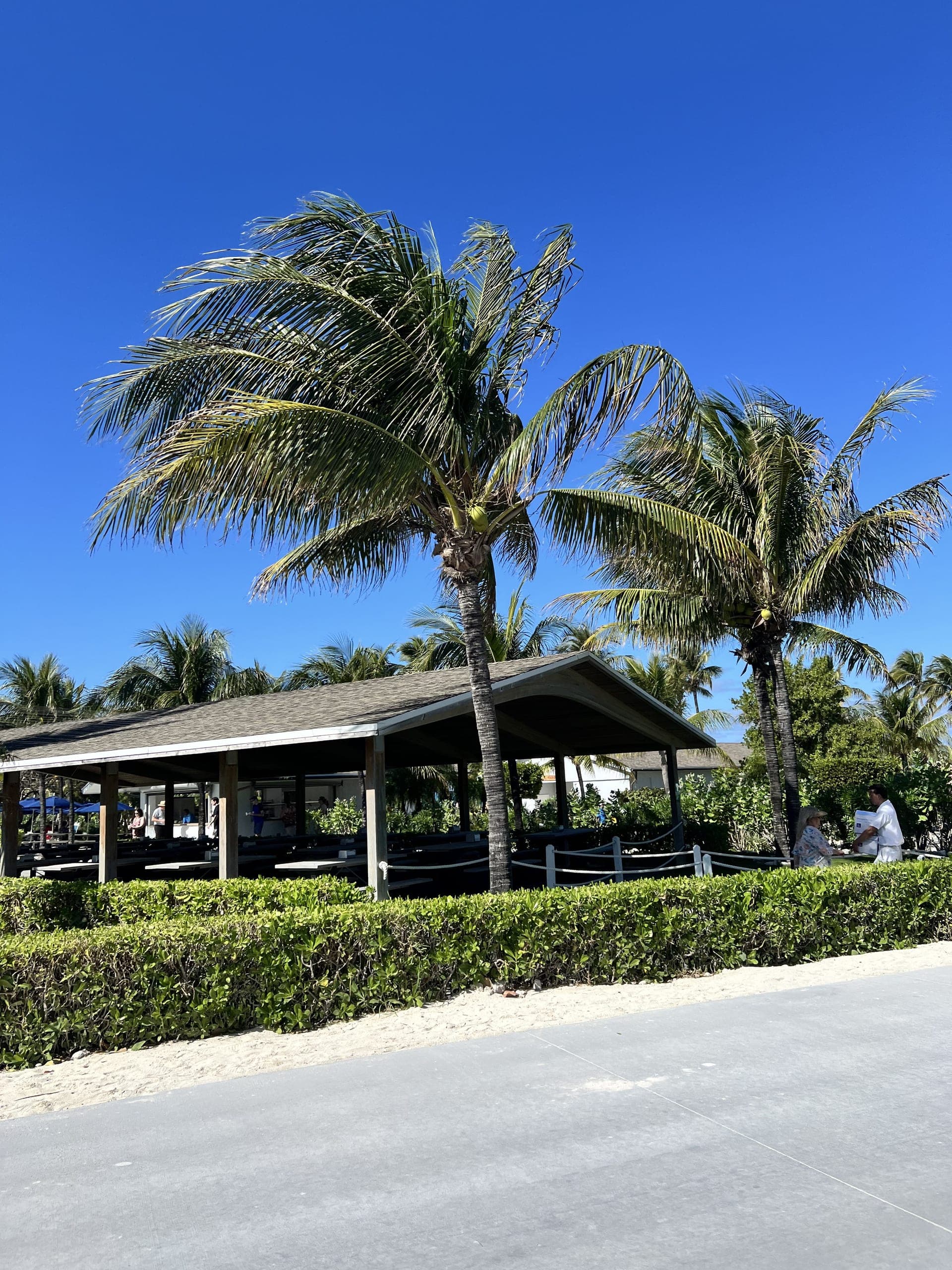 Tropical beach pavilion with palm trees at a Caribbean shore excursion