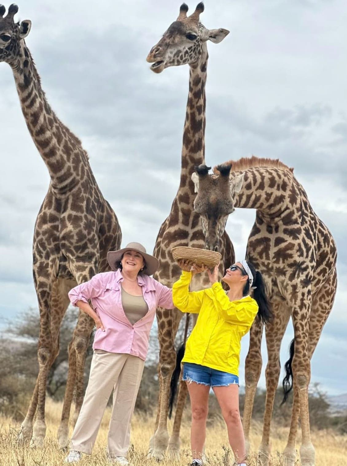 Vanessa Grimaldi feeding giraffes on a South Africa safari