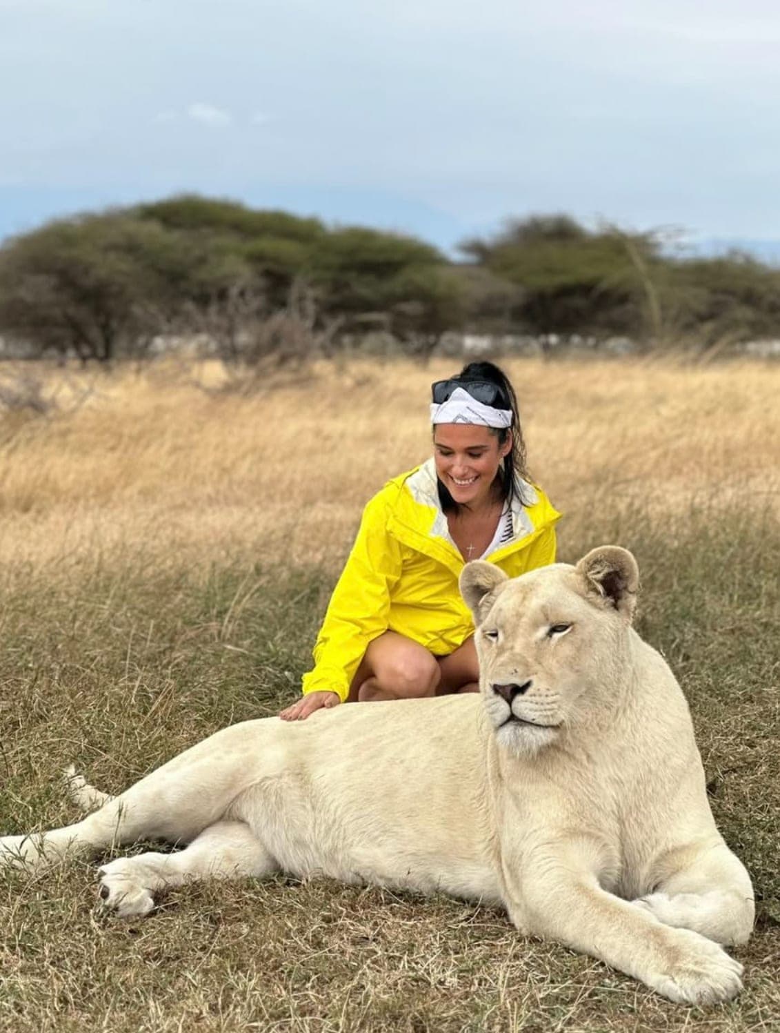 Vanessa Grimaldi with a white lioness on safari in South Africa